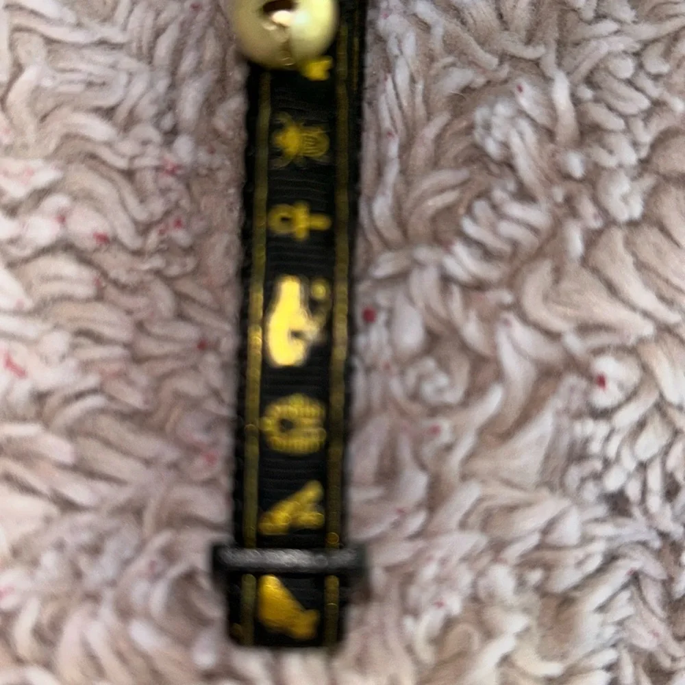 Whisker City Gold Egyptian Easy Release Adult OR Kitten Collar